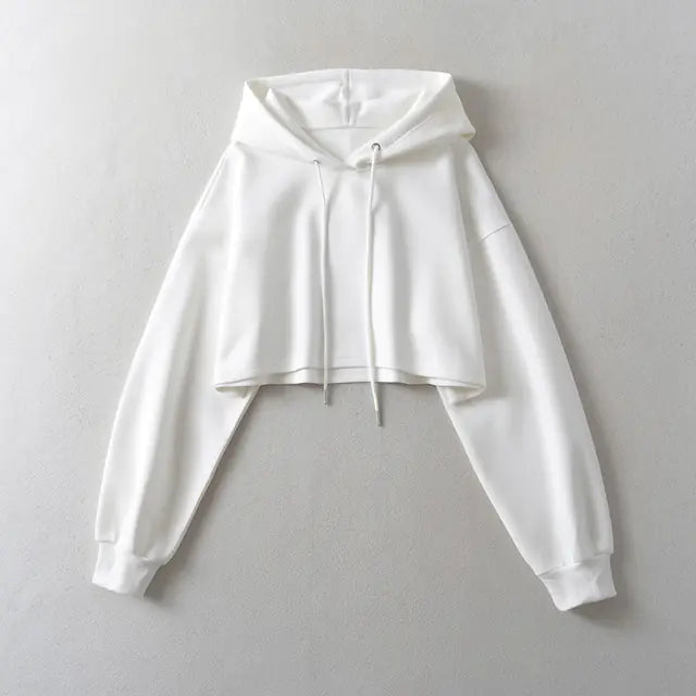 2023 Autumn Chic Hooded Sweater
