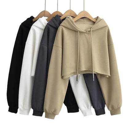 2023 Autumn Chic Hooded Sweater