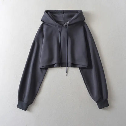 2023 Autumn Chic Hooded Sweater