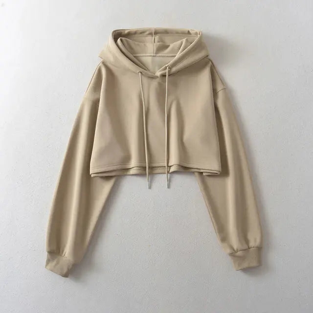 2023 Autumn Chic Hooded Sweater